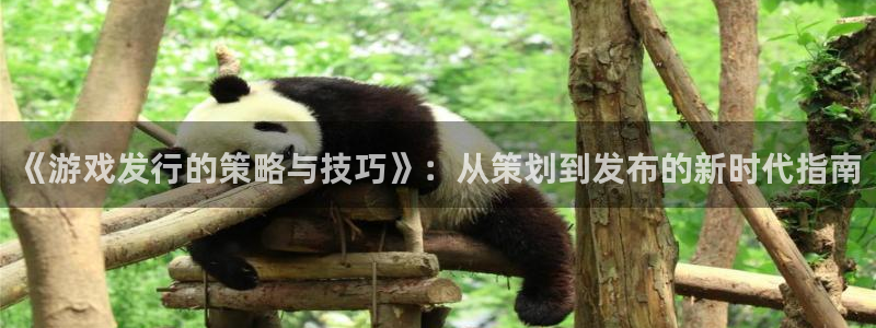 广东bbin视讯电子科技有限公司：《游戏发行的策略与技巧》：从策划到发布的新时代指南