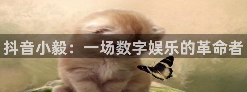 陕西bbin视讯子文化创意骗局：抖音小毅：一场数字娱乐的革命者