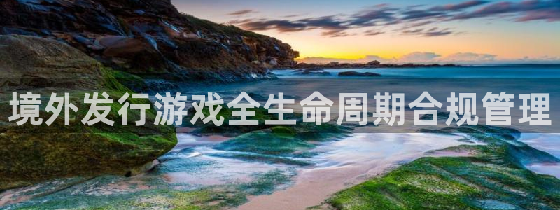 bbin视讯是什么品牌：境外发行游戏全生命周期合规管理