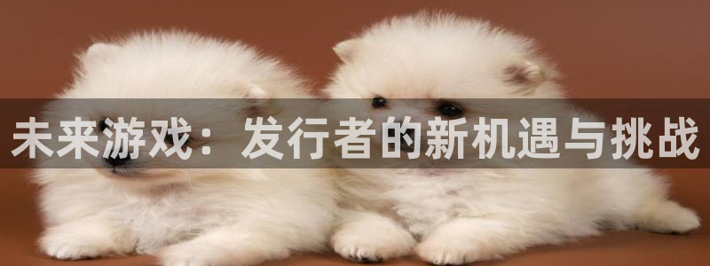 bbin视讯电商怎么样可靠吗：未来游戏：发行者的新机遇与挑战