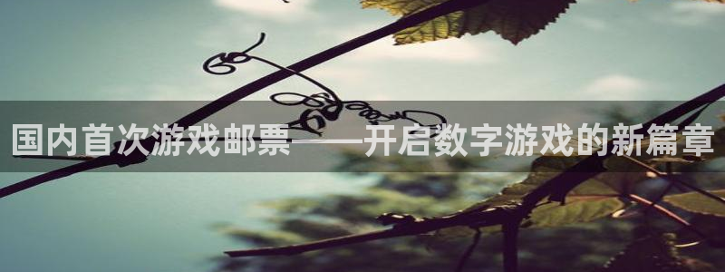 佛山bbin视讯电子商务