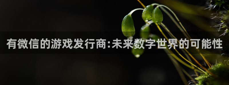 bbin视讯品牌顾问有限公司