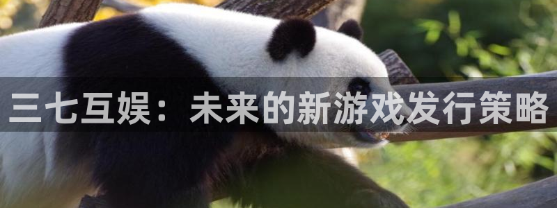 bbin视讯官网代理注册不了：三七互娱：未来的新游戏发行策略