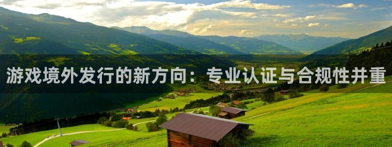 bbin视讯官网是什么娱乐?：游戏境外发行的新方向：专业认证与合规性并重