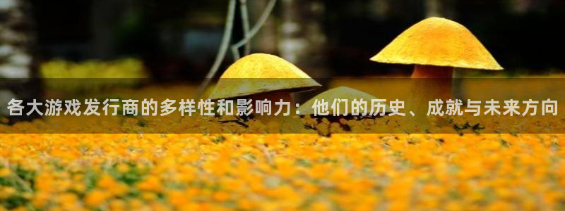 佛山bbin视讯
