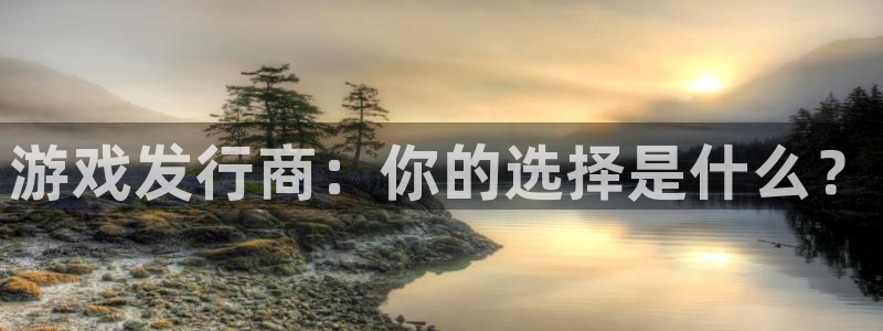 深圳市bbin视讯科技有限招聘公司
