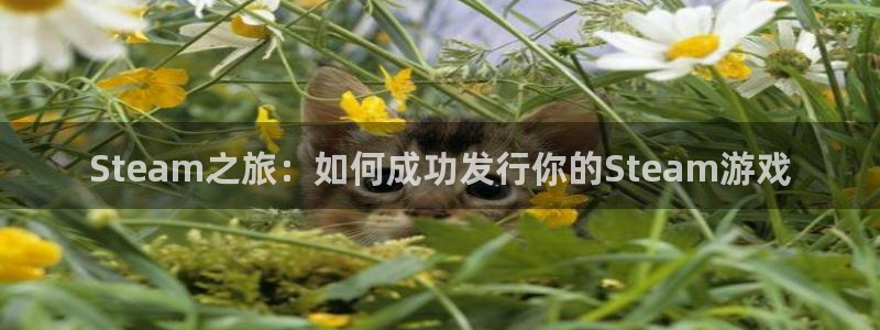 bbin视讯子年度最佳图书