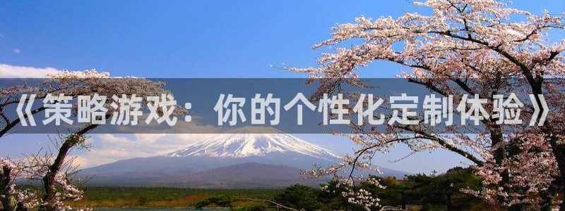 bbin视讯运动装有哪些品牌：《策略游戏：你的个性化定制体验》