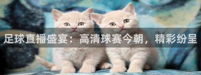 乐球吧jrs免费直播