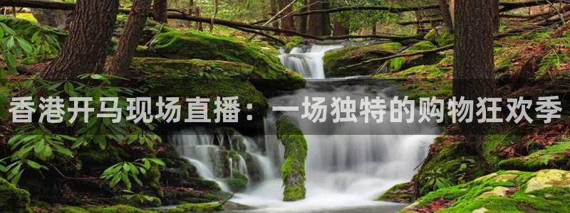 乐球直播nba直播免费观看高清