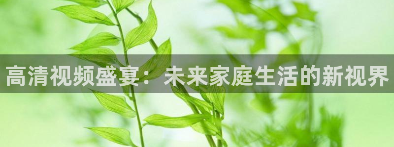 乐球体育nba直播入口
