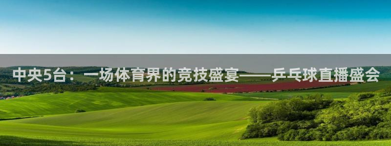 nba赛程乐球直播在线观看视频：中央5台：一场体育界的竞技盛宴——乒乓球直播盛会