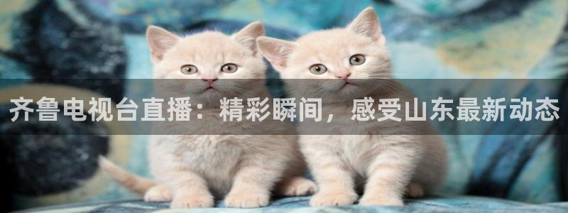 乐球体育在线观看：齐鲁电视台直播：精彩瞬间，感受山东最新动态