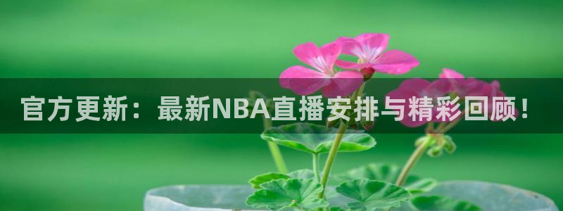 乐球体育直播app
