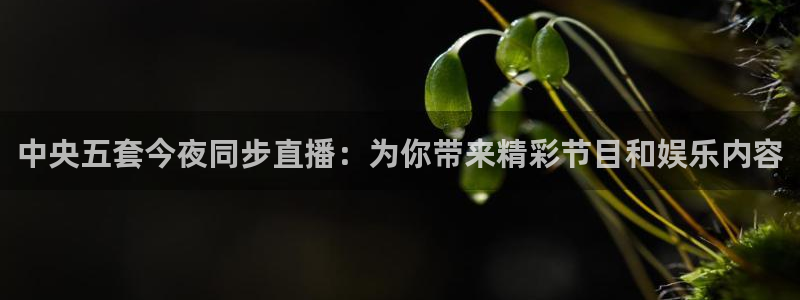 乐球直播雨燕免费高清观看