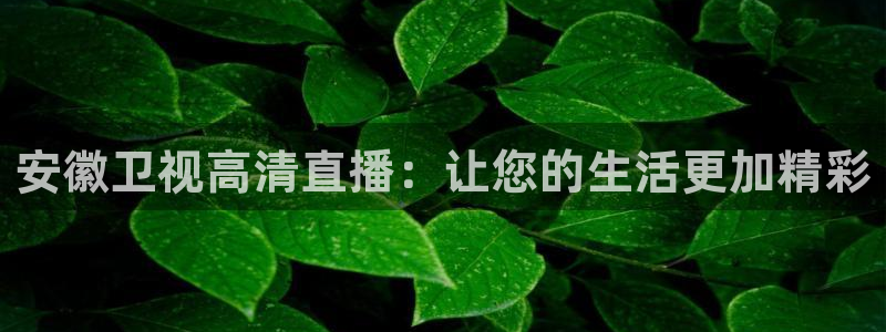 lqlive乐球直播：安徽卫视高清直播：让您的生活更加精彩