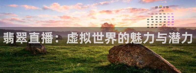 乐球直播免费体育直播在线观看高清：翡翠直播：虚拟世界的魅力与潜力